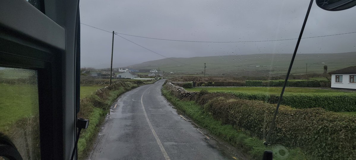 Sprout || ✮⋆˙ 🍉 Commissions CLOSED tweet media