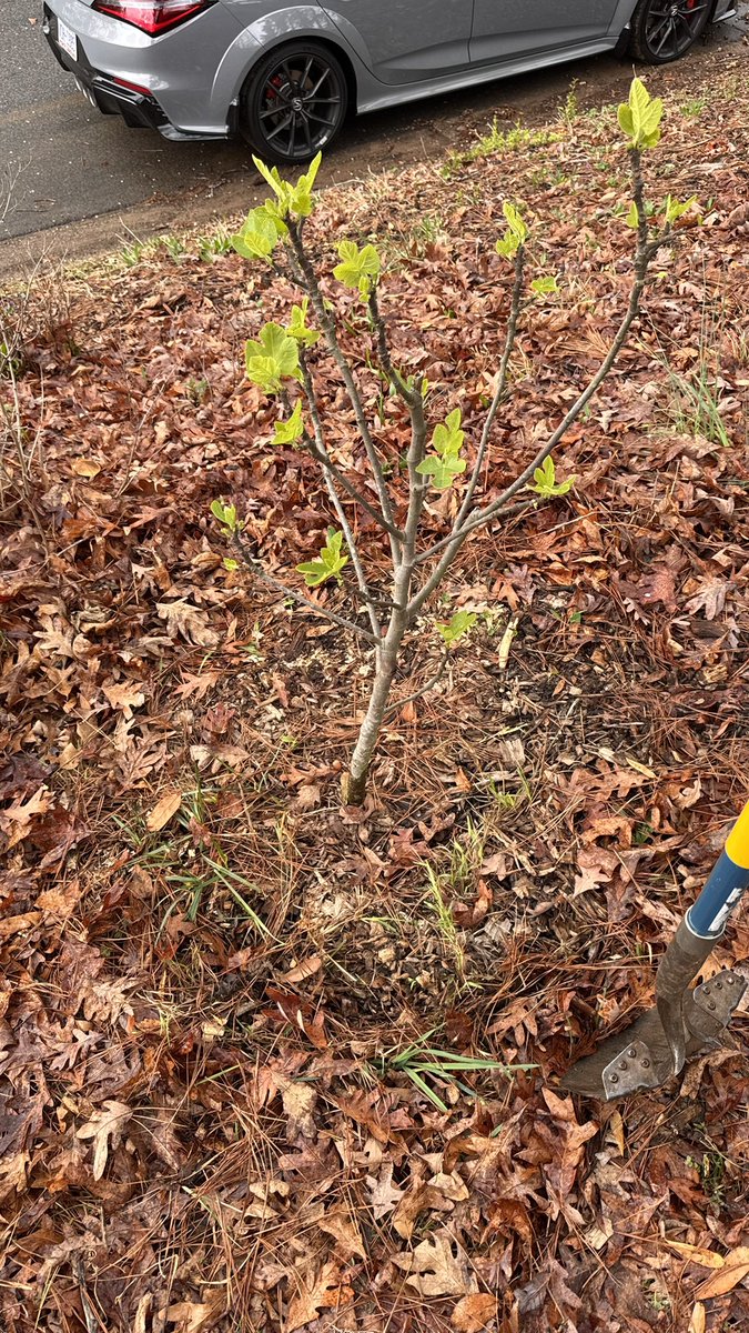 Vic 🌮 tweet media