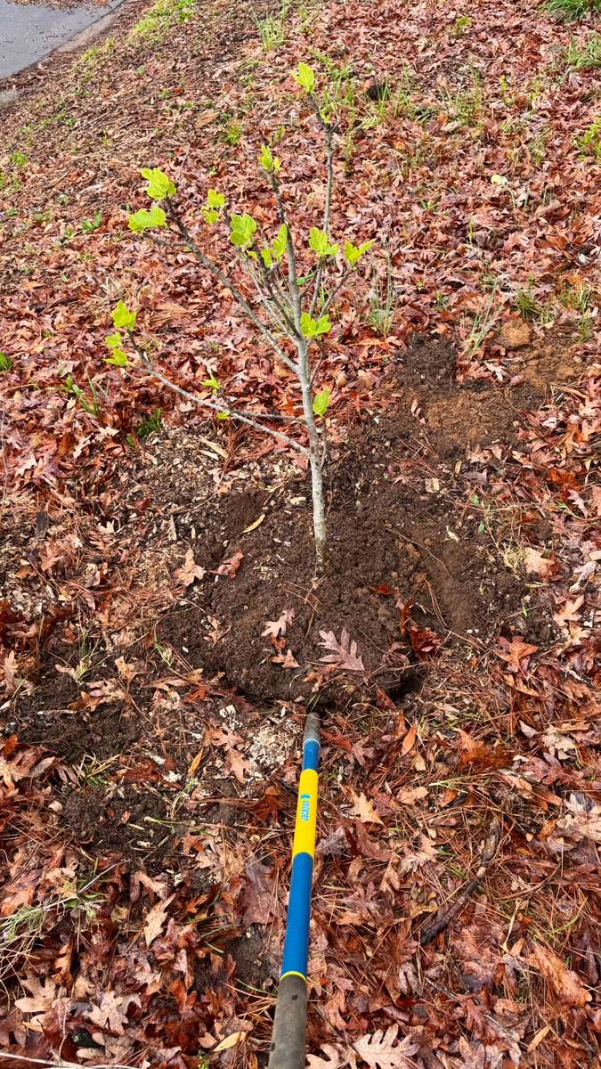 Vic 🌮 tweet media