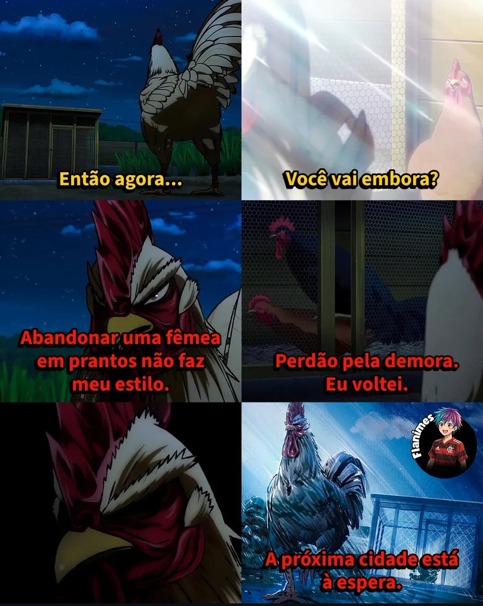 Boto Cor De Negão tweet media