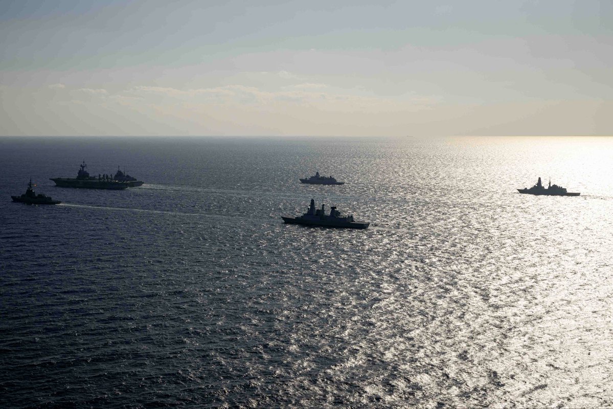 Frid 🇪🇺🦌 tweet media