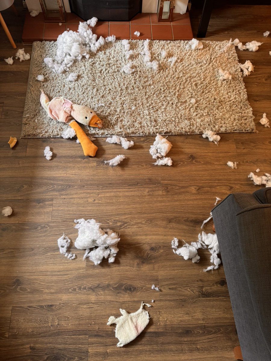 Steven Thompson 🎥❤️🎬 tweet media