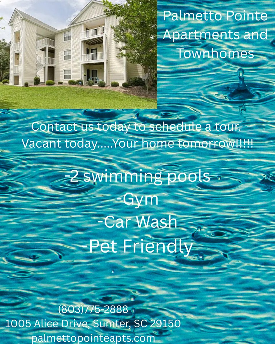 Palmetto Pointe Apt (@palmettopointe) on Twitter photo 