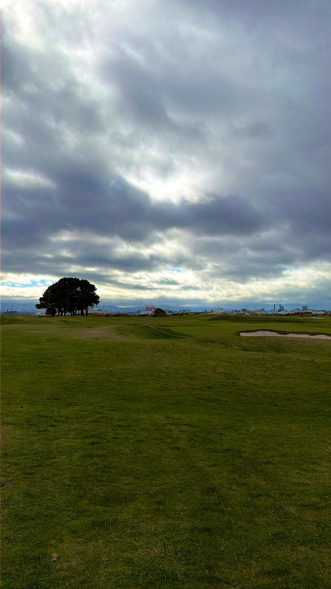 Nikola_Topic44's tweet image. 50 mph never felt better #low #SawedOff