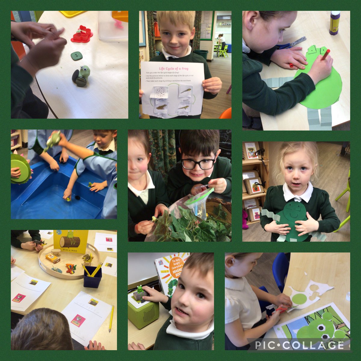 DaneRoydUFS's tweet photo. This week we will be learning all about frogs and looking closely at their life cycle. The children have enjoyed the frog inspired provision and particularly enjoyed the ‘Oi Frog’ story. @DaneRoydSchool #daneroydreading #daneroydscience https://t.co/U6adbt0VrM