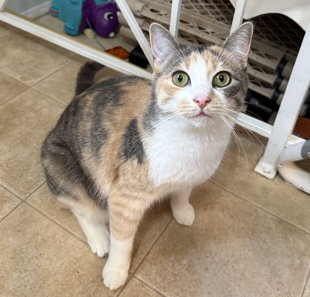 motherhood musings tweet media