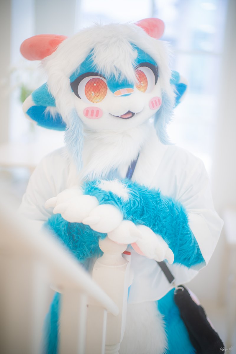 파르🐾➡️🏠 tweet media