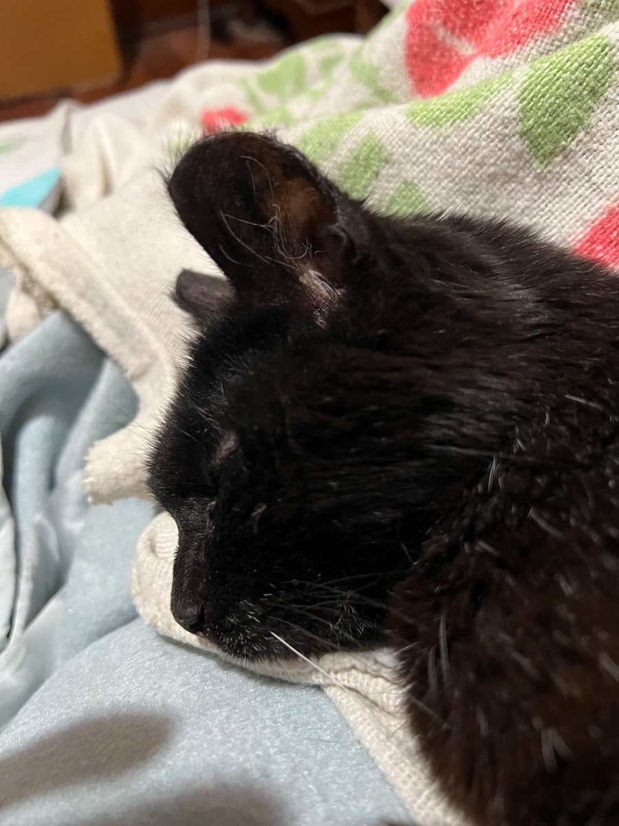 Jon Cone tweet media