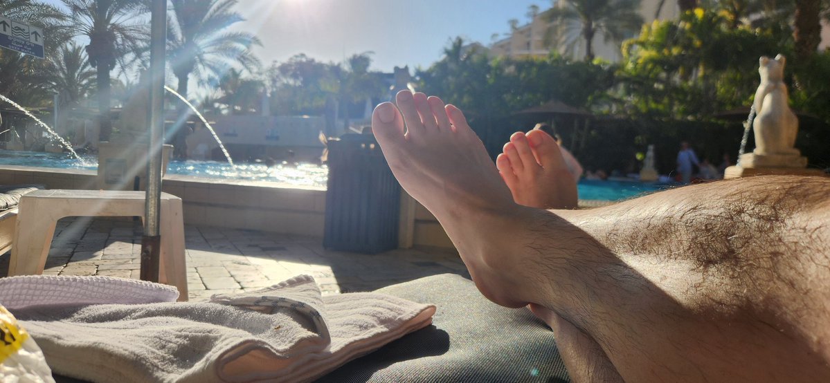 Reality-VS-Algorithem tweet media