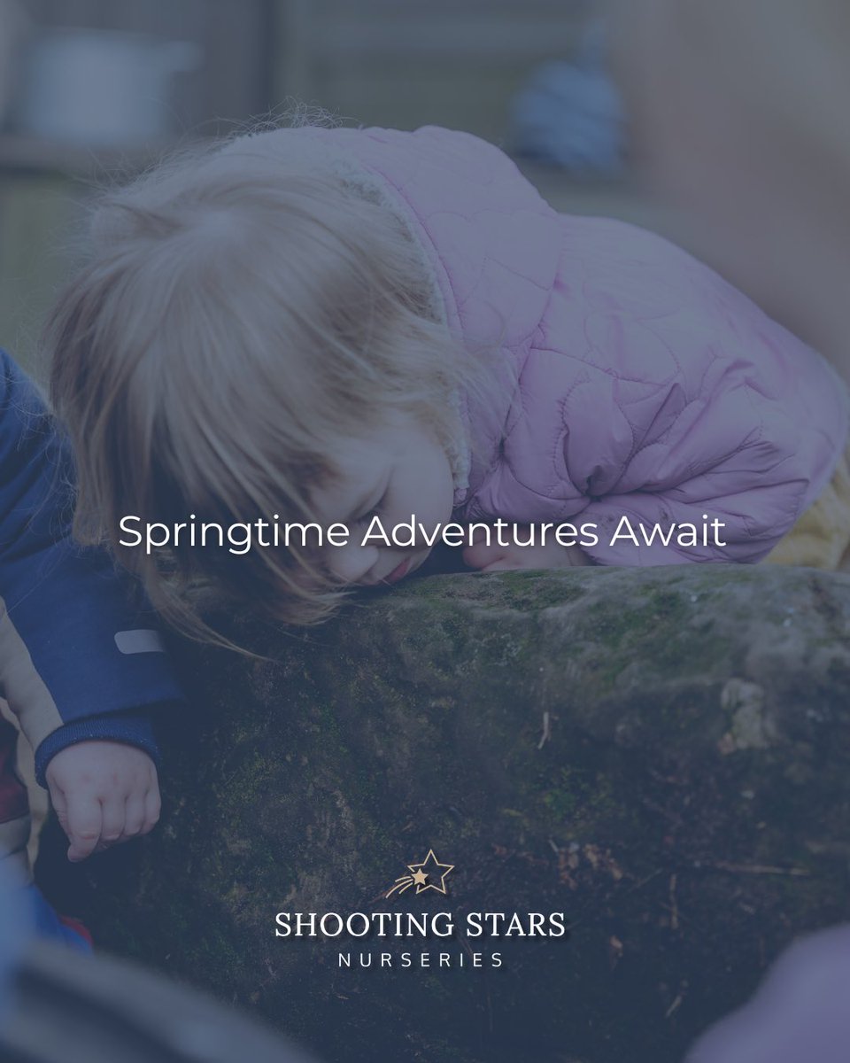 Shooting Stars tweet media