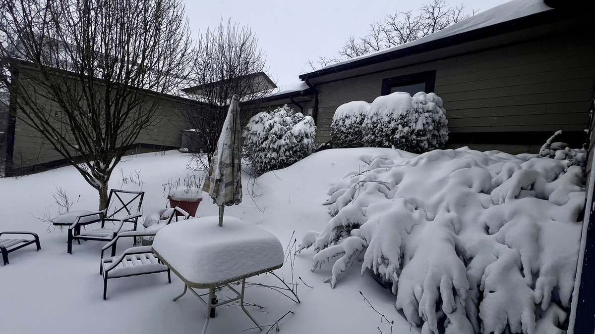 SkiBumDad tweet media