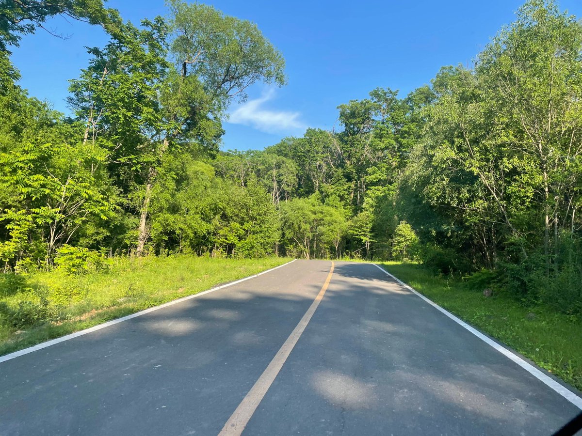 Dowg's Marlley tweet media