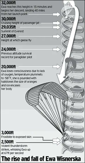 VisionaryVoid tweet media