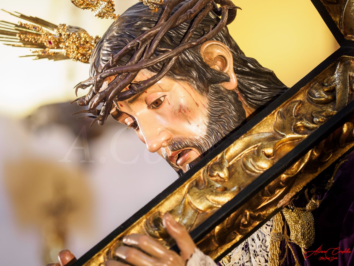 Sentir Córdoba tweet media