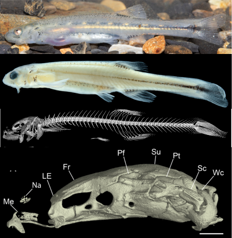 James Albert 🐟 🇺🇦 tweet media