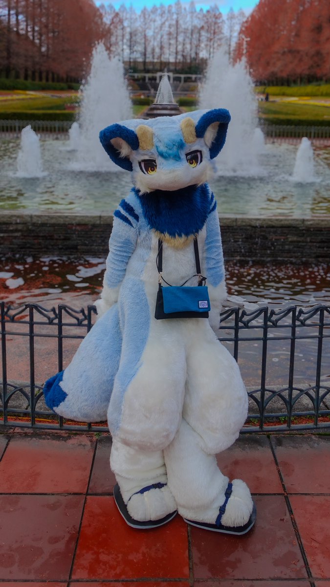 🐱ﾔｷｻﾞｶﾅ🐱びっと君 tweet media