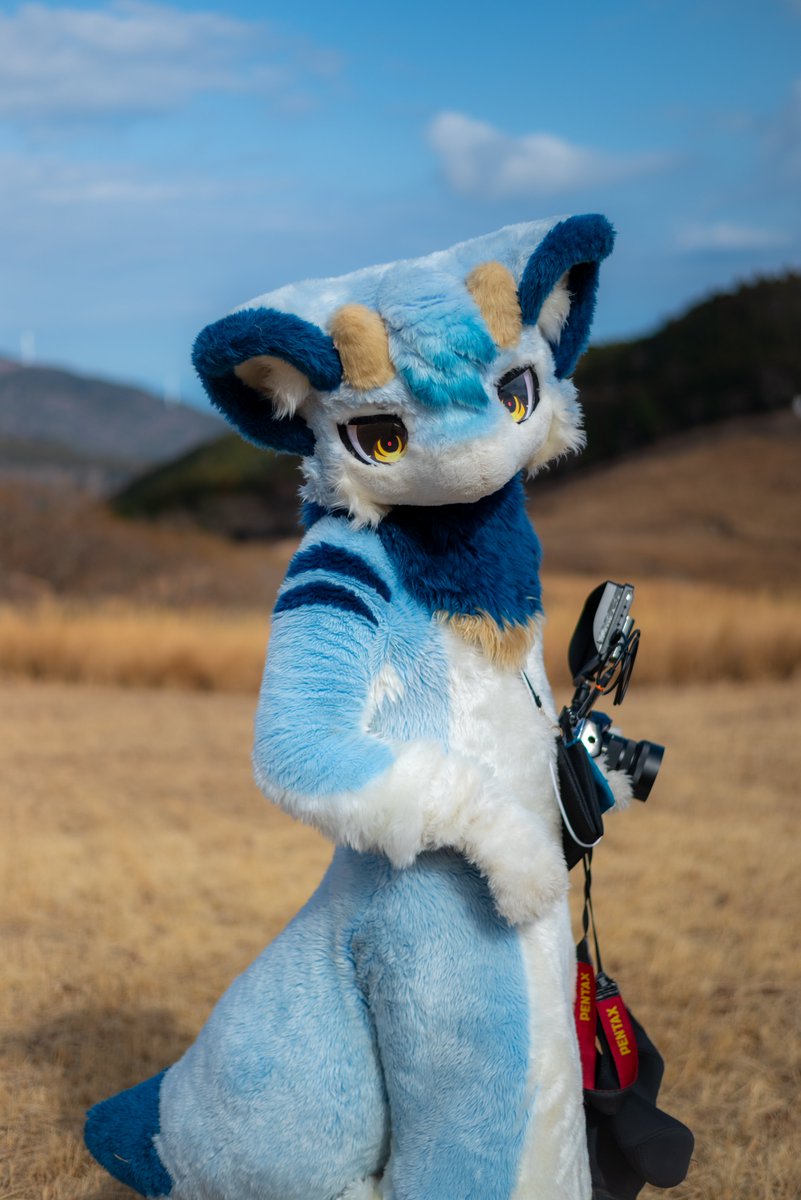 🐱ﾔｷｻﾞｶﾅ🐱びっと君 tweet media