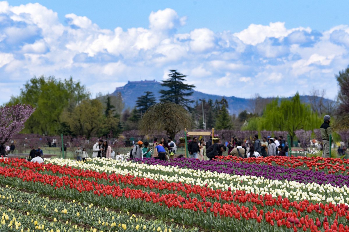 Basit Zargar (باسط) tweet media