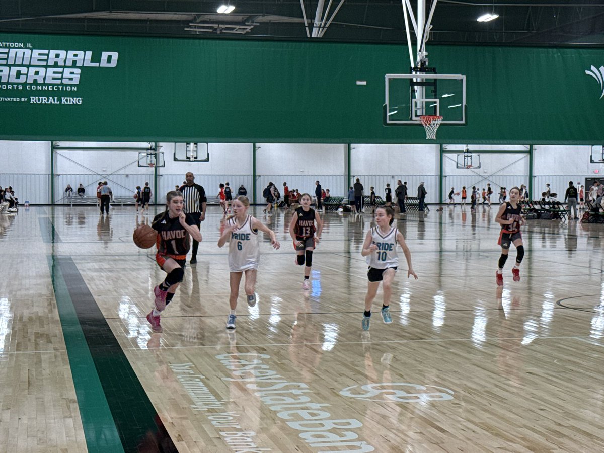 Havoc Basketball tweet media