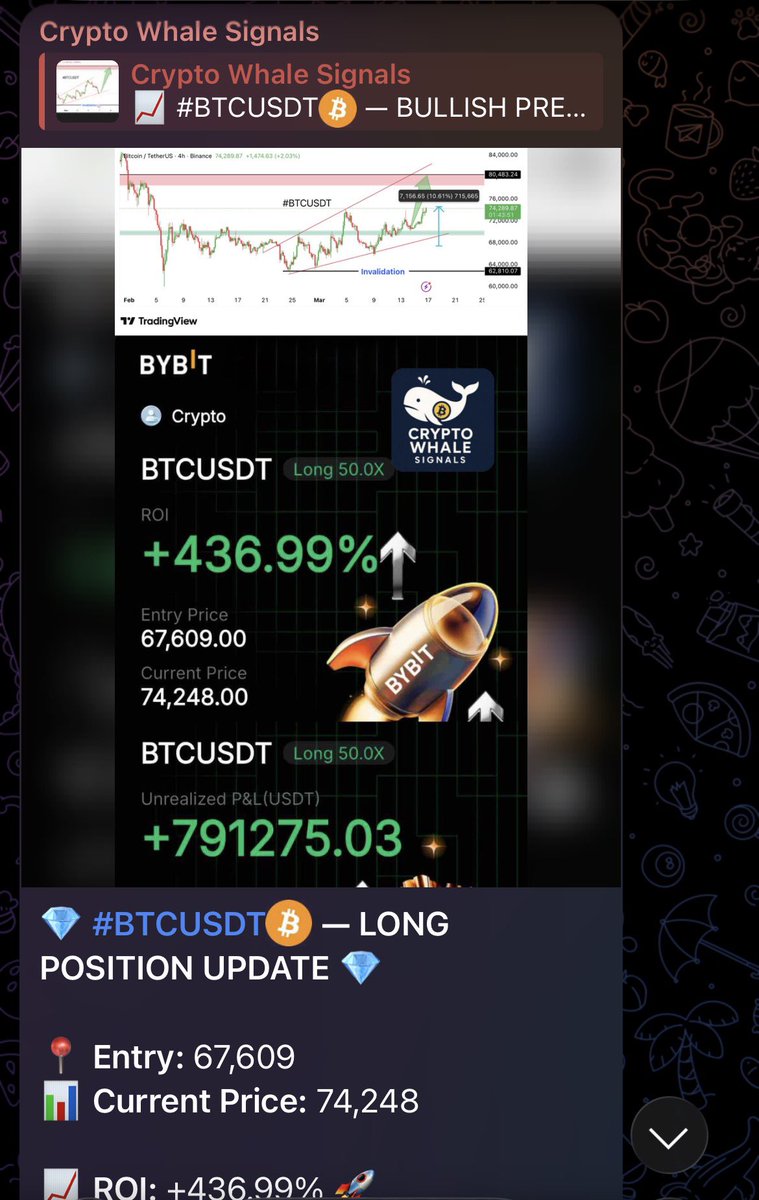 BitWhaleTrader tweet media