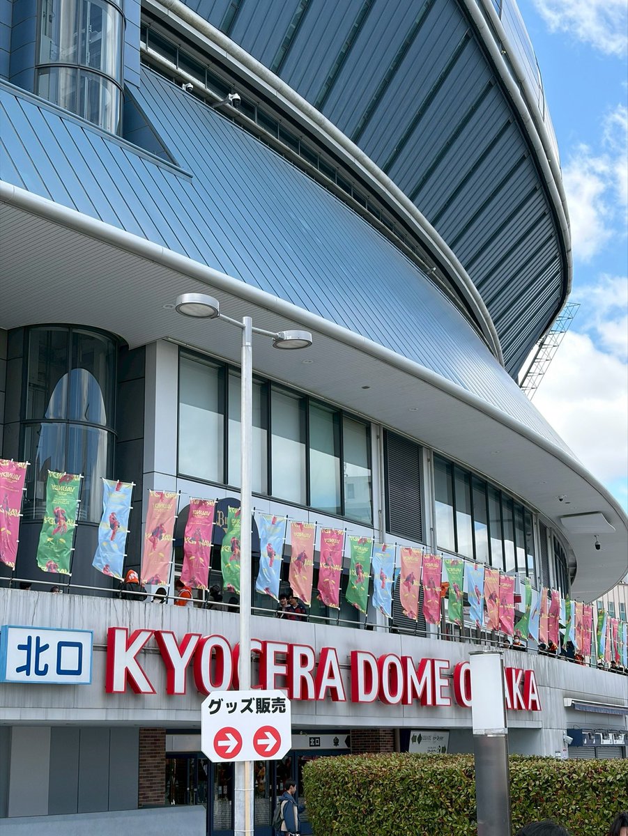 むっちゃん🍏 tweet media