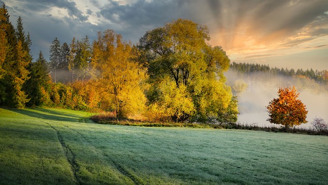 Tammy Miller tweet media