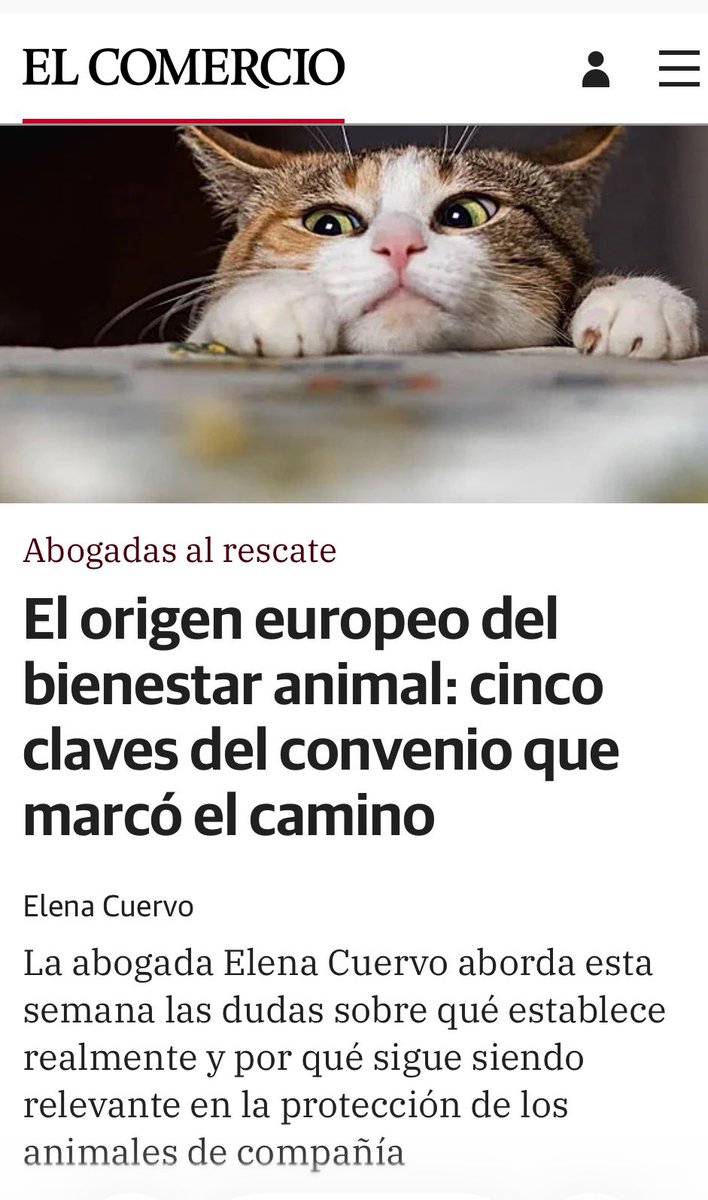 CuervoAlfageme's tweet photo. https://t.co/WeqtnpOHri https://t.co/3v1fo2L4gO