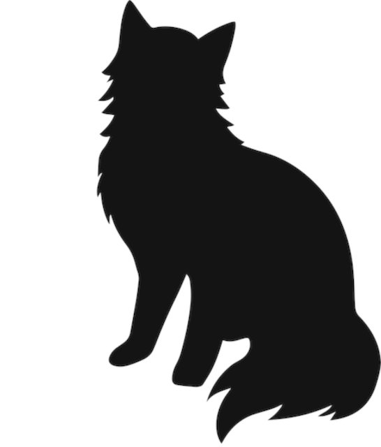 Steve Hayes tweet media