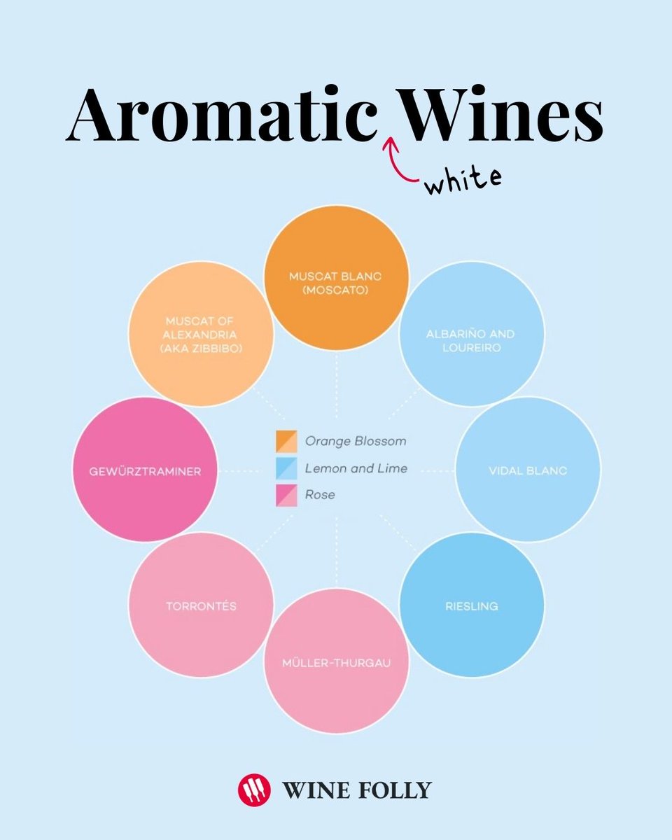 Wine Folly tweet media