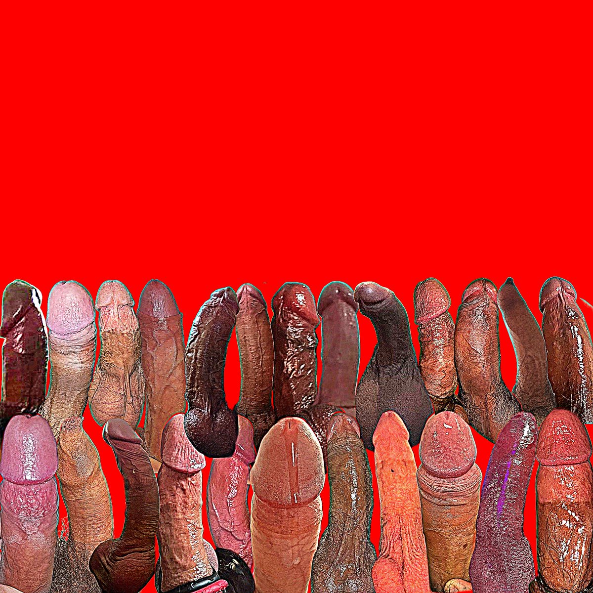 LET'S GO(ON), BRO! tweet media