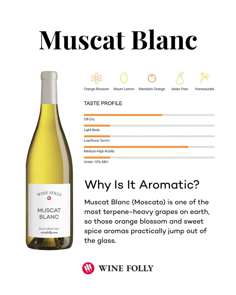 Wine Folly tweet media