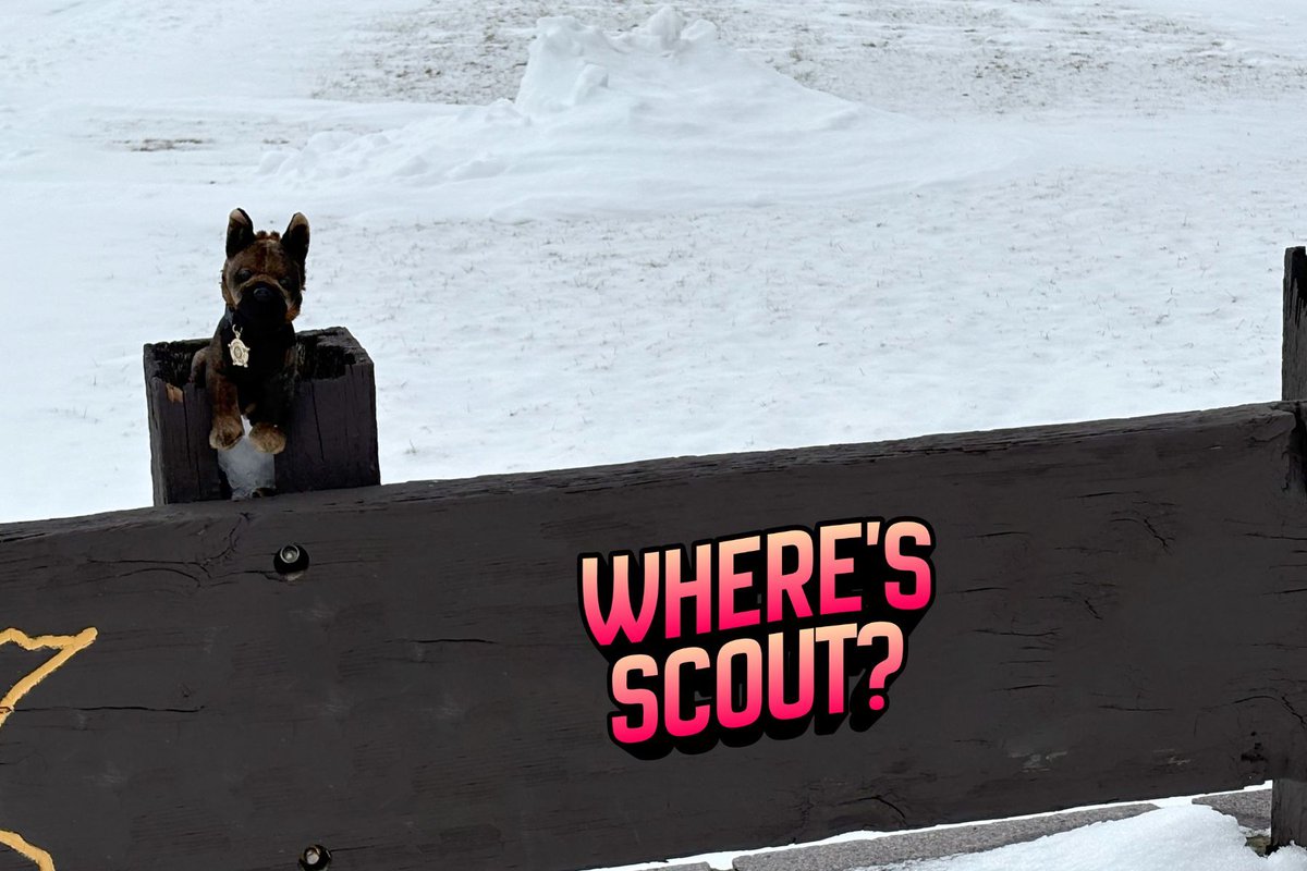 MN Sheriffs’ Association tweet media