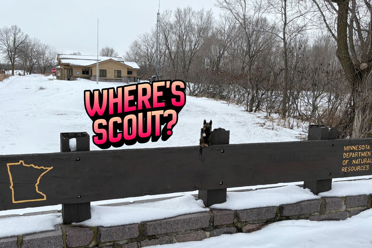 MN Sheriffs’ Association tweet media