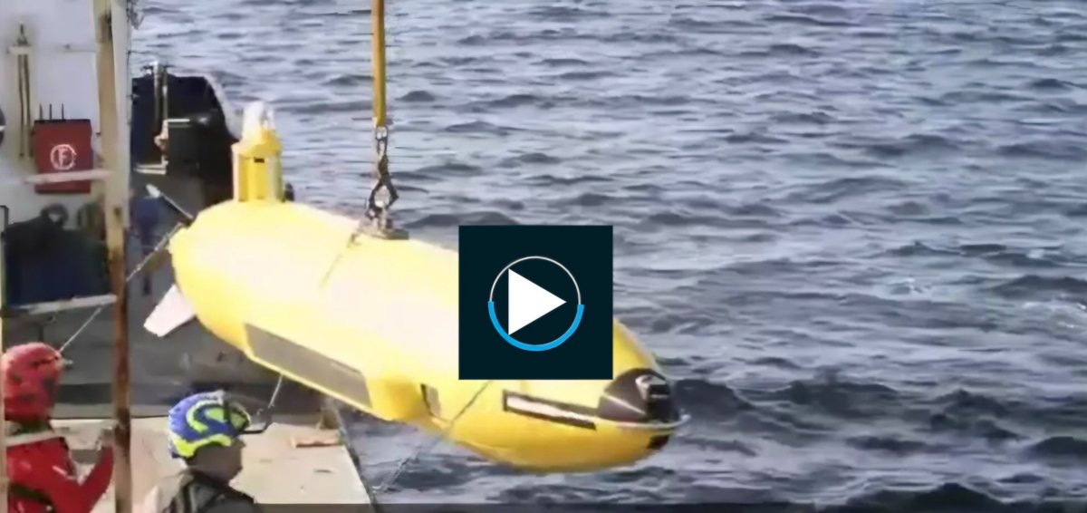 Hasnae Malih حسناء مليح tweet media