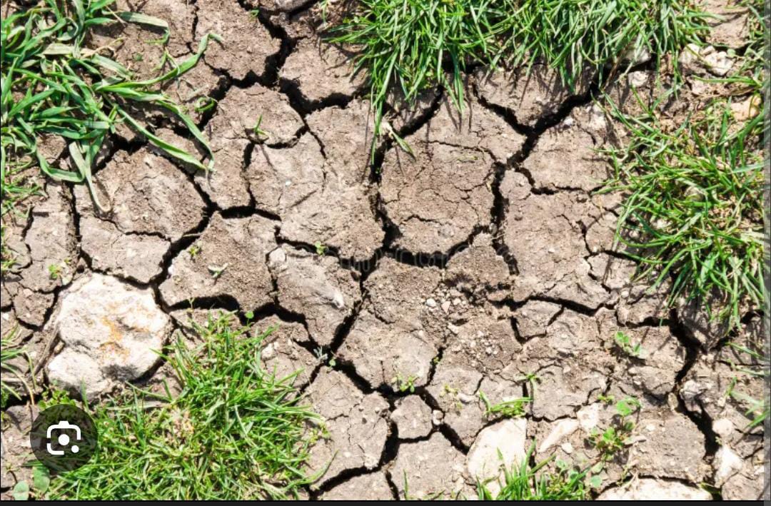 FutuX Agri-consult Limited tweet media