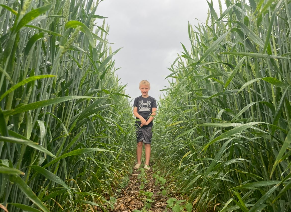 jasonmauck1's tweet photo. I’m not trying to sound pompous or arragant when I say this but the #1 thing that I struggle with is that the positions that I strive to arrive at… the concepts… the systems aren’t understood by most people inside and outside of Agriculture.

Plants aren’t driven by fertilizer 
They are driven by CO2 and sunlight above the surface of the soil… and oxygen, carbohydrates, and proteins below.

I think… and learn analogously.  The arrangements or venues that I create in fields work very similar to markets.

The best analogy is the value of beer 
What is the value of a single can of miller lite in a case at CostCo vs the value of a beer at a football game or concert?

10x…25x?

Thats what we can do with plants if we’re cognizant of venue.

Sure you need good agronomics and maybe a little N to get things growing, but what’s most important are the real drivers of plant growth.

The other piece to this is America 🇺🇸 wouldn’t be America 🇺🇸 if we weren’t the largest consumer economy in the world.

That is our identity.  To be consumers of stuff to impress people that really don’t give a shit … but you think they do.

The economy only works if the rest of the world covets and want to participate in this ecosystem and get a piece of it to themselves.  

Therefore… the think tanks of more of a “off grid” holistic thinking has no purpose in Academia or Industry.  It’s more of a threat.

You want to fast and eat 🥩 and be healthy without our medication?  You want to drive a truck with a carburetor?  You value family more than impressing your friends with consumerism?  You’re weird… weirdo.