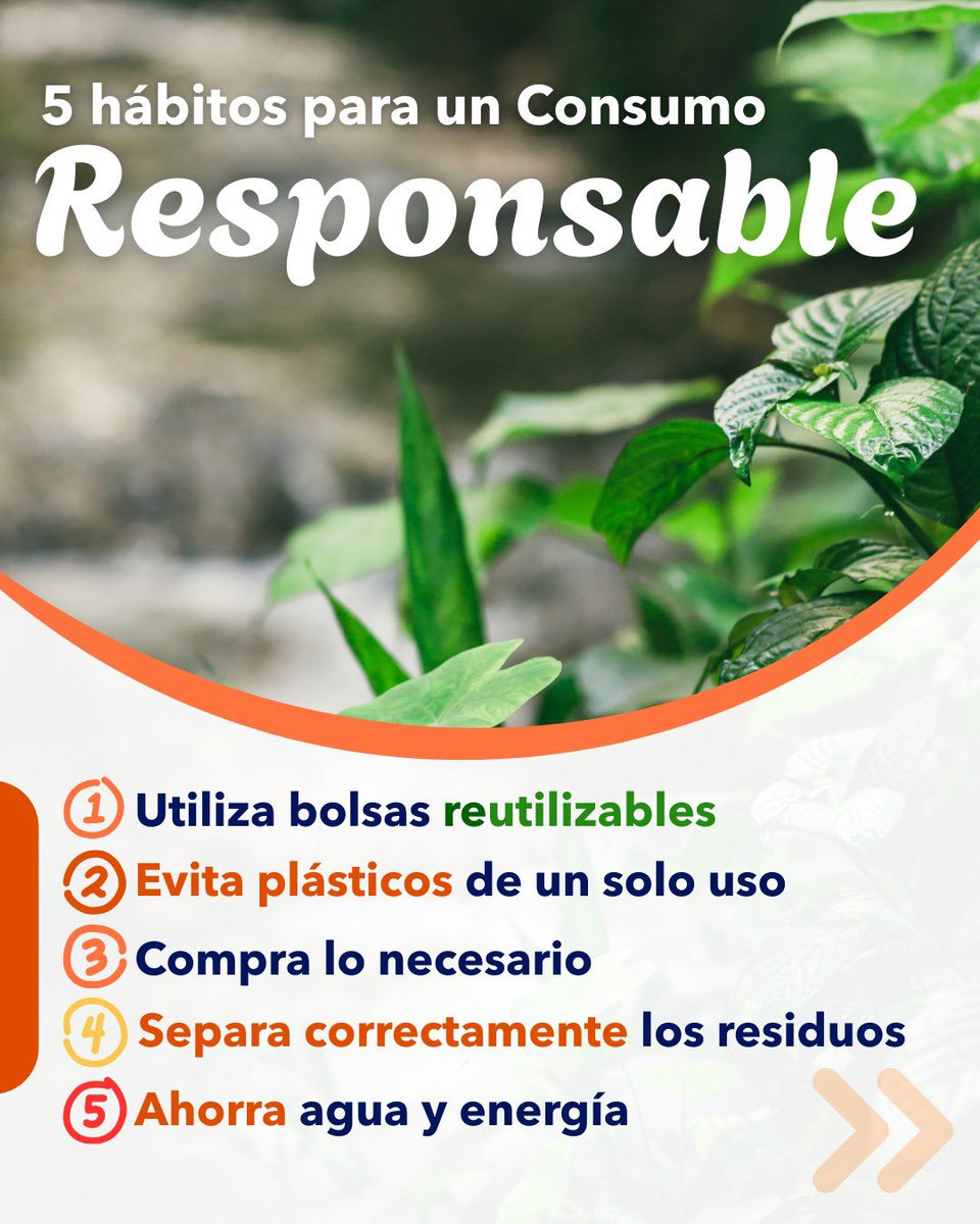 CODECHOCÓ tweet media