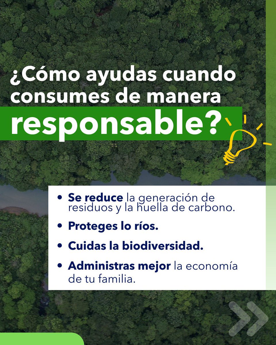 CODECHOCÓ tweet media