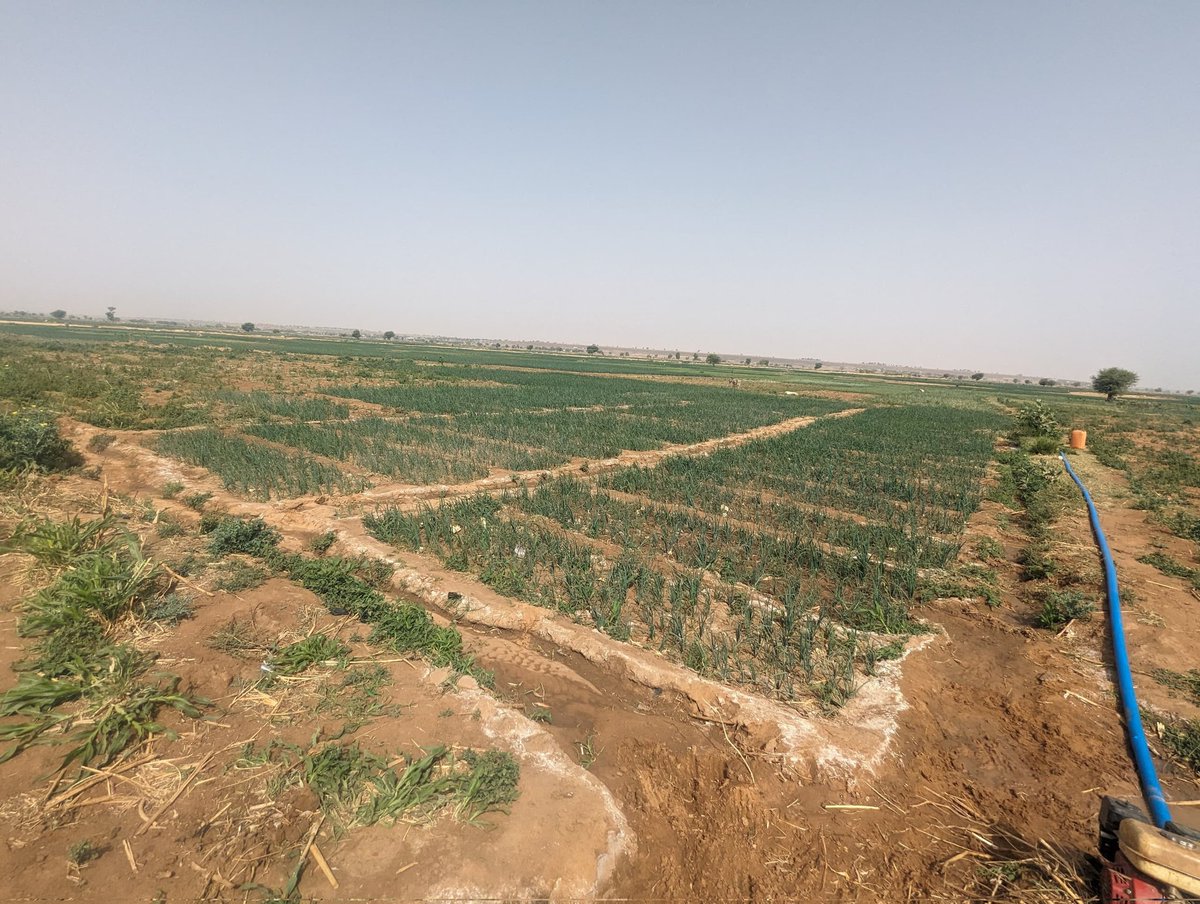 FutuX Agri-consult Limited tweet media