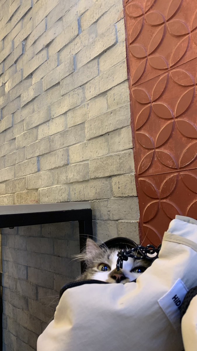 MAXINTOSHI 💎 VGen Comms OPEN tweet media