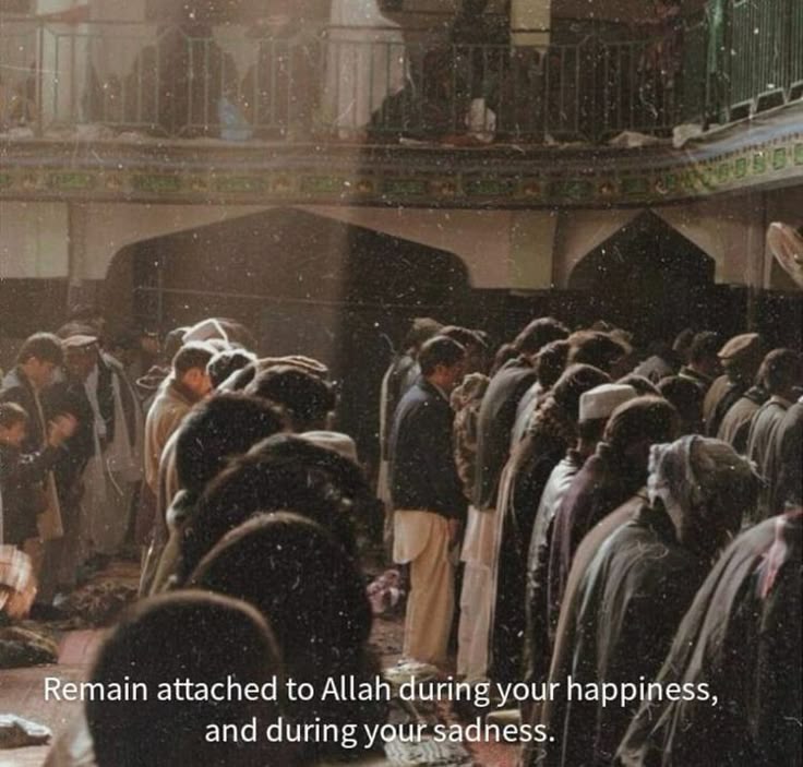 الرَّيَّان tweet media