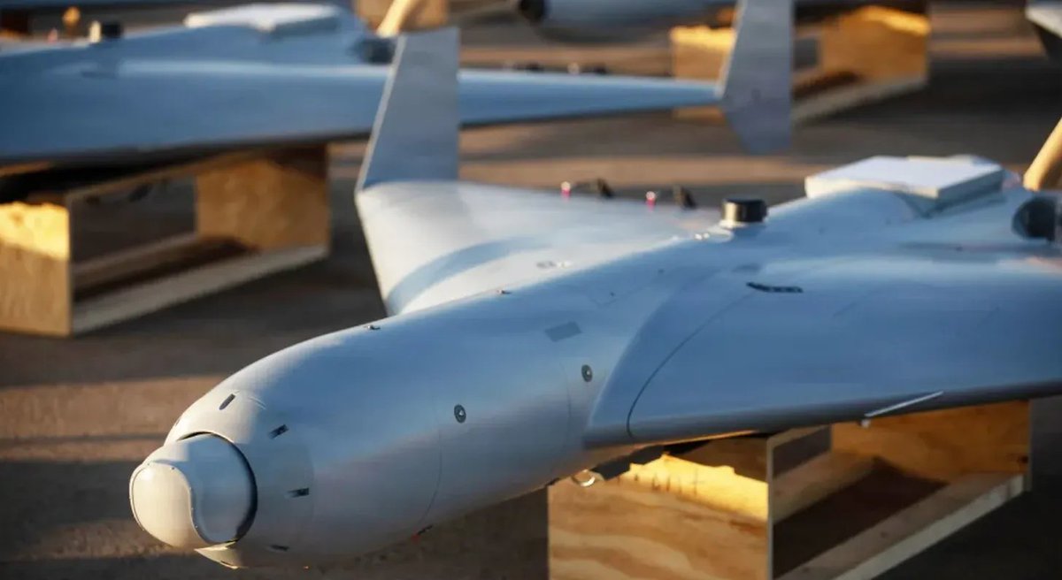 Pete Modigliani tweet media