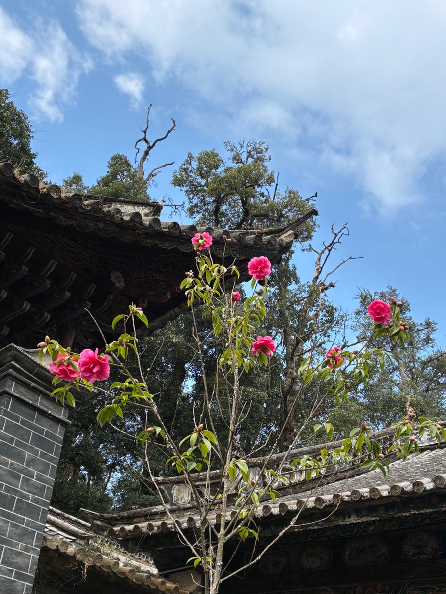 ネイビーブルー tweet media