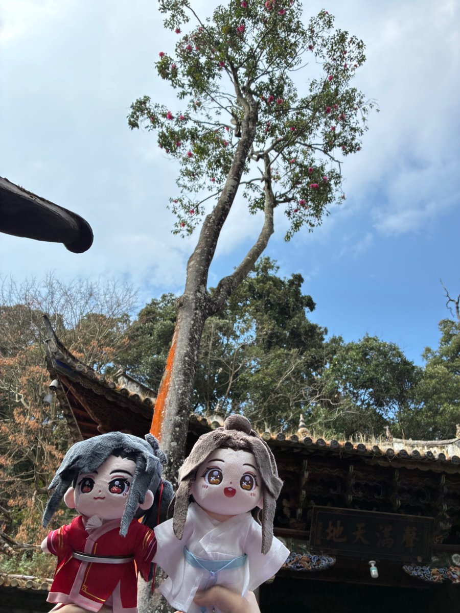 ネイビーブルー tweet media