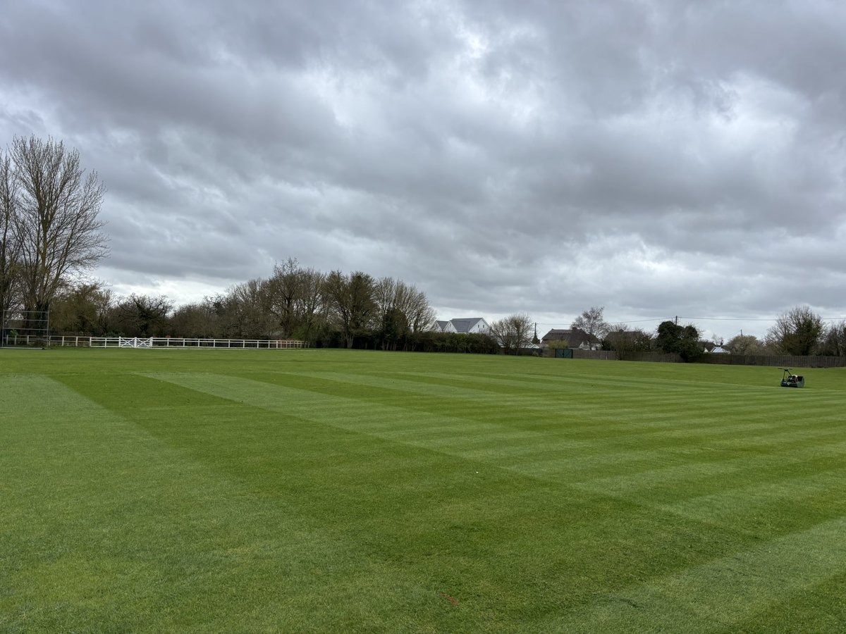 Jamie Foyster tweet media