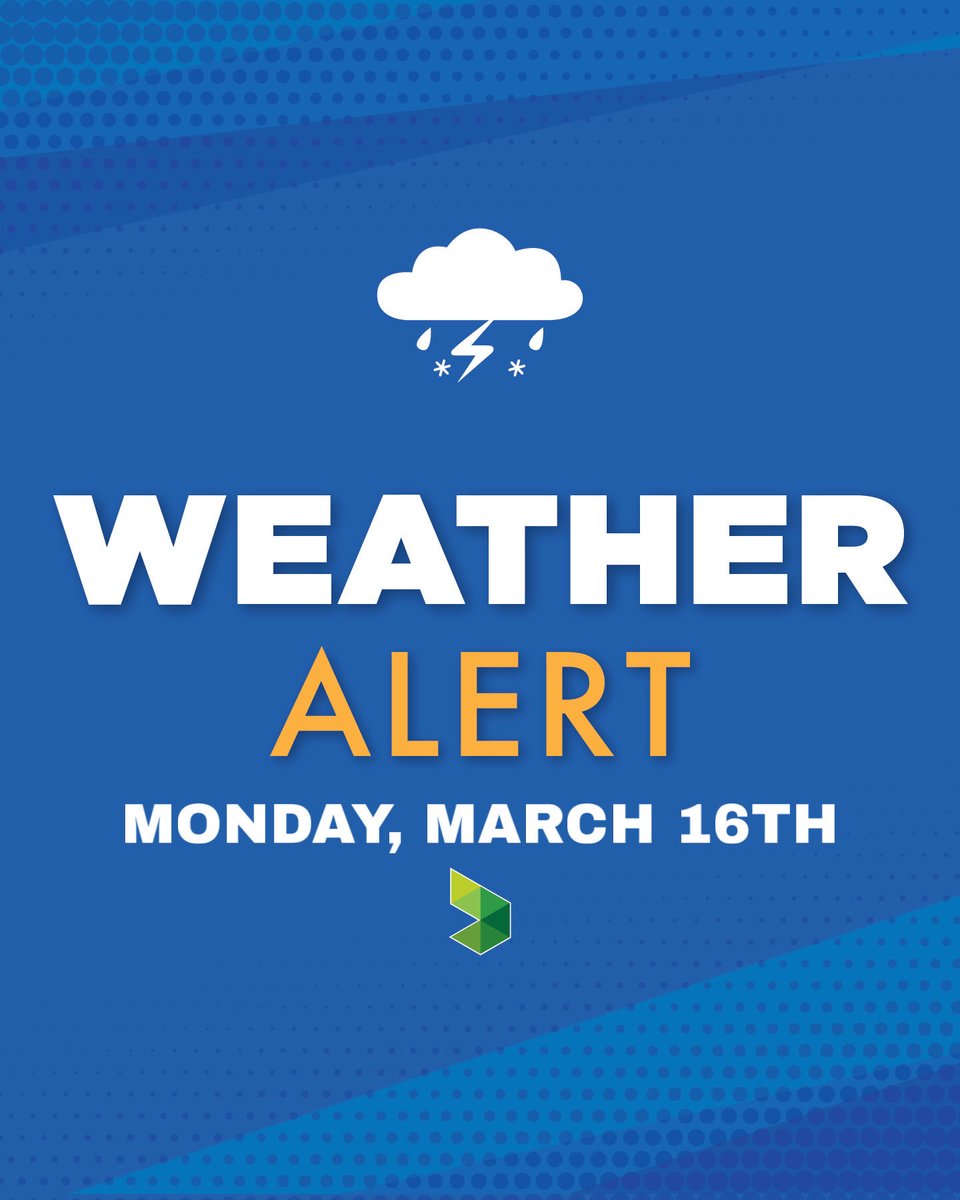 GoTriangle tweet media