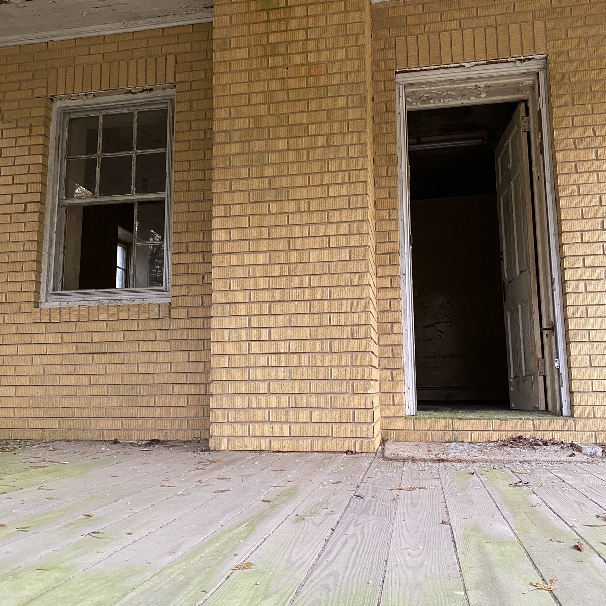 Diary of Abandonment tweet media