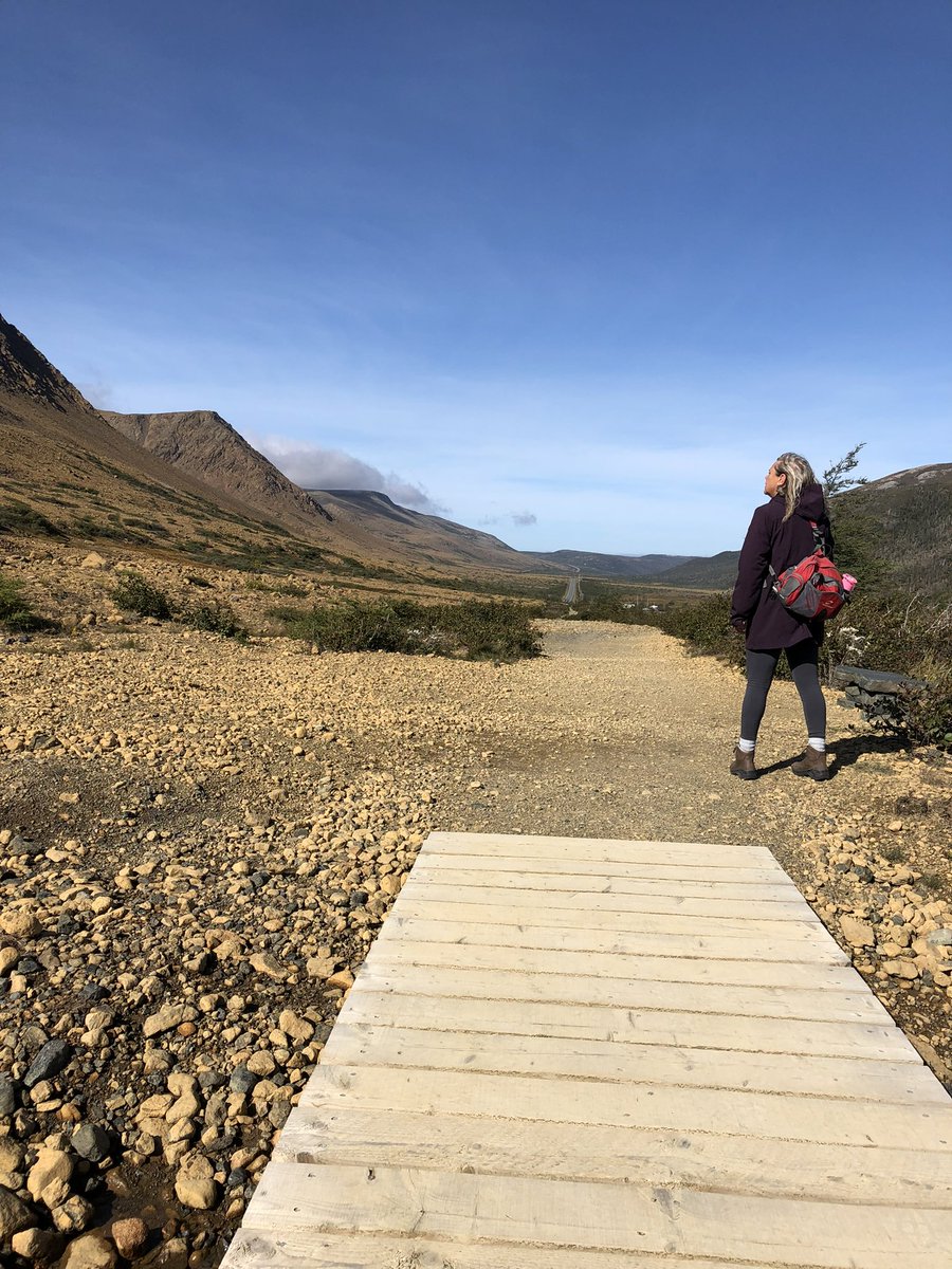 Kenneth Dow tweet media