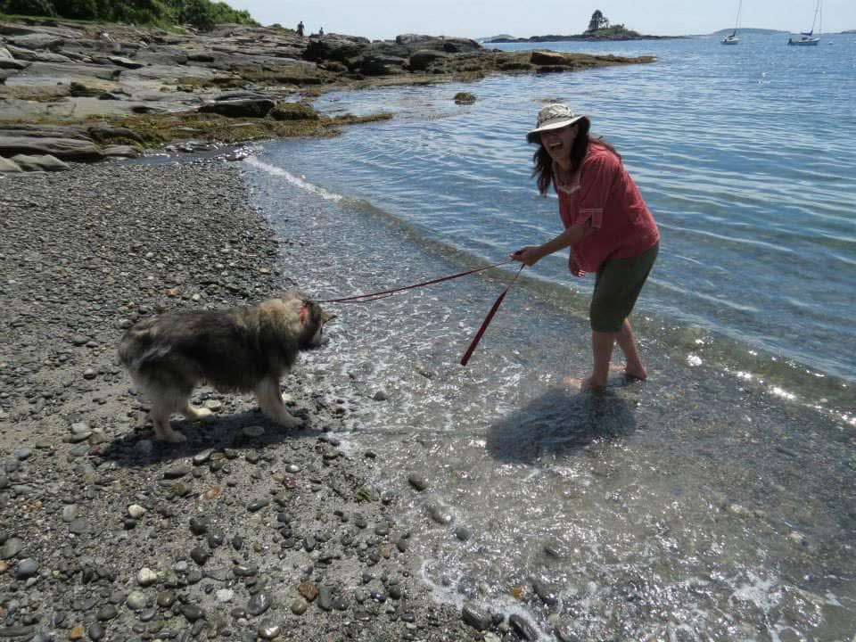 Kenneth Dow tweet media