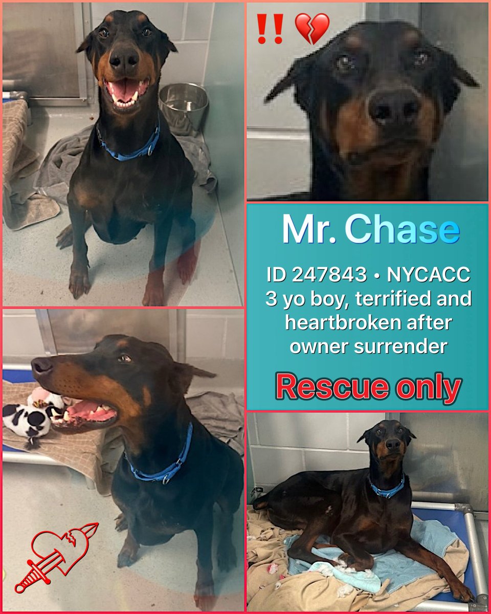 Malimum 🇩🇪 tweet media